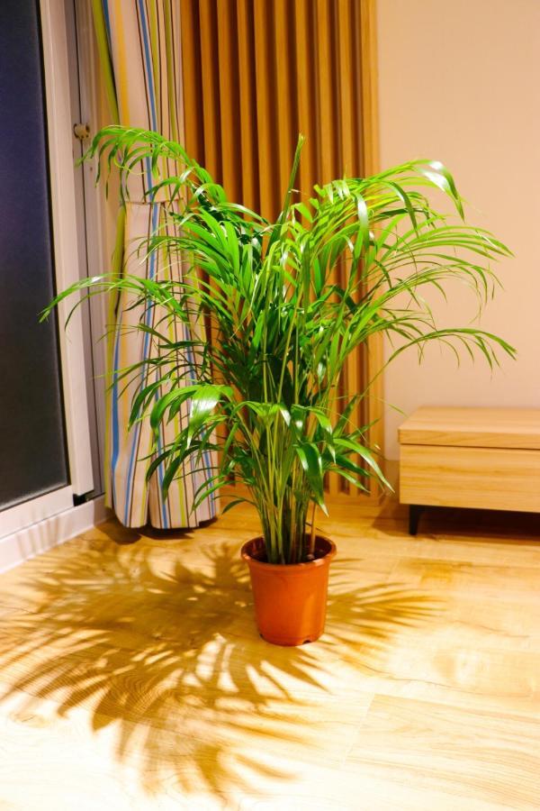 Pingtung Zen Home Kültér fotó